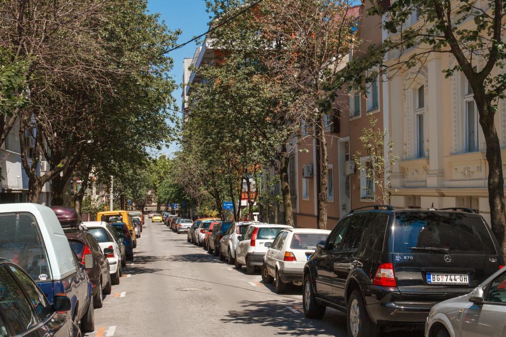 Apartment Aleksandar 贝尔格莱德 外观 照片